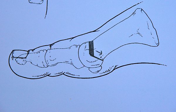 dsc_0286.jpg