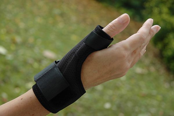 splint_rhiz.jpg